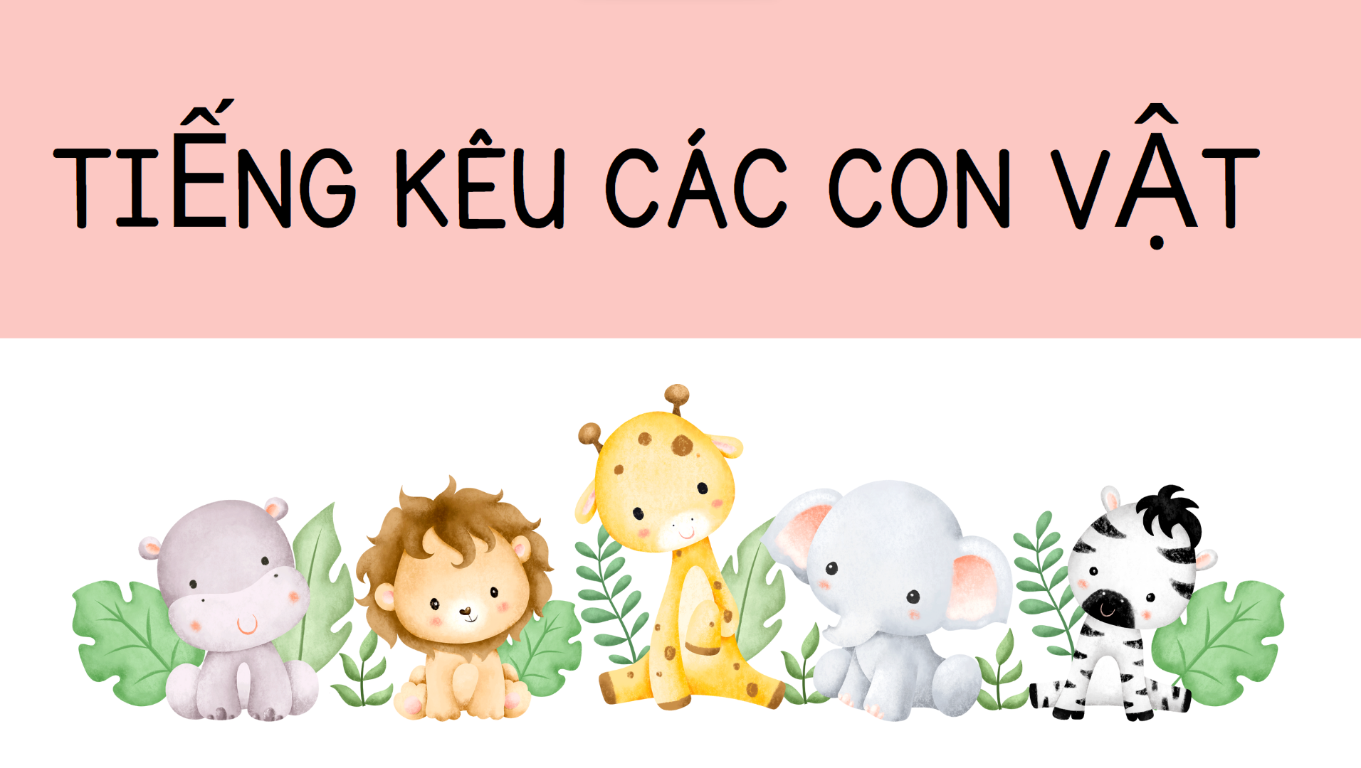 Bài 5: Thiết kế hình ảnh